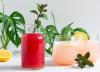 طرز تهیه شربت ریواس خانگی؛ نوشیدنی خوشرنگ و لذیذ برای روزهای گرم